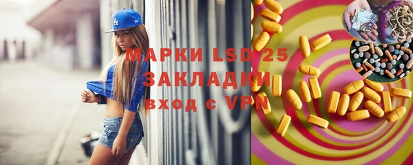 сатива Новокубанск
