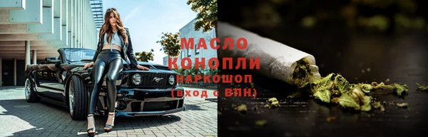 сатива Новокубанск