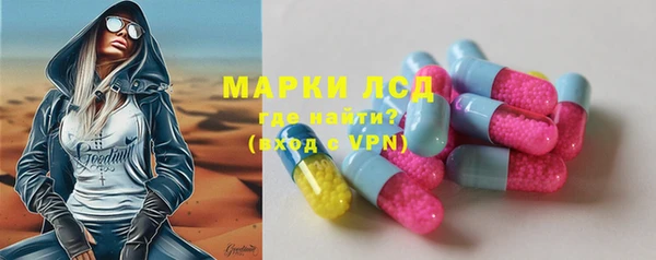 сатива Новокубанск