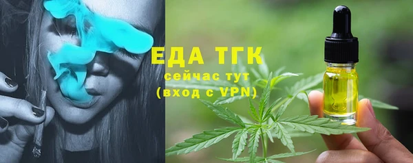 сатива Новокубанск