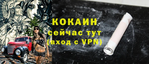 сатива Новокубанск