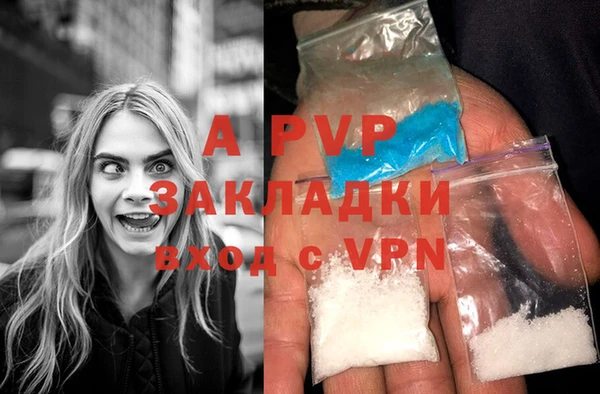 спиды Новозыбков