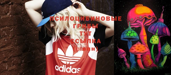 спиды Новозыбков