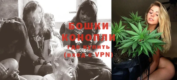 сатива Новокубанск