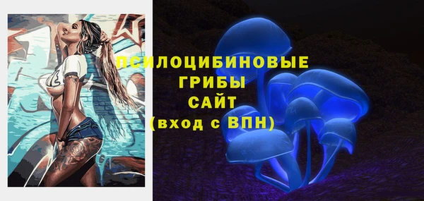 сатива Новокубанск