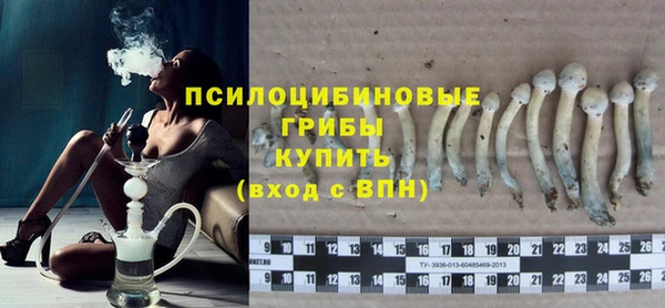 гашиш Новодвинск