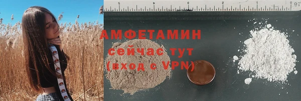 сатива Новокубанск