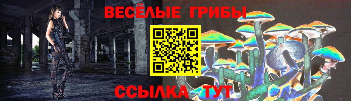 наркошоп  Вход с VPN  Рязань  Галлюциногенные грибы Psilocybe  Псилоцибиновые грибы мицелий 